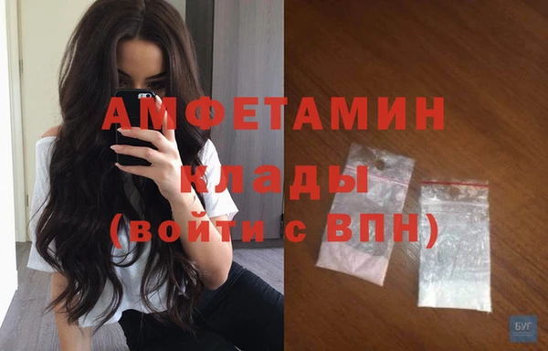 ГАЛЛЮЦИНОГЕННЫЕ ГРИБЫ Верея