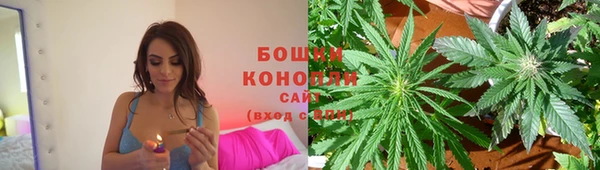ГАЛЛЮЦИНОГЕННЫЕ ГРИБЫ Верея