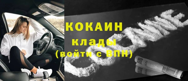 ГАЛЛЮЦИНОГЕННЫЕ ГРИБЫ Верея