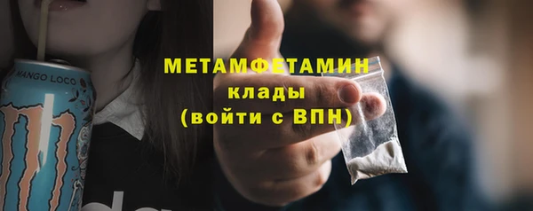 ГАЛЛЮЦИНОГЕННЫЕ ГРИБЫ Верея
