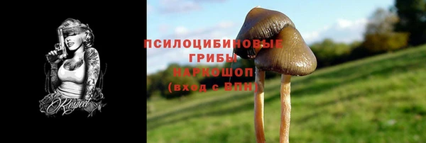 ГАЛЛЮЦИНОГЕННЫЕ ГРИБЫ Верея