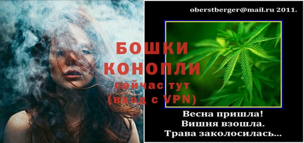ГАЛЛЮЦИНОГЕННЫЕ ГРИБЫ Верея